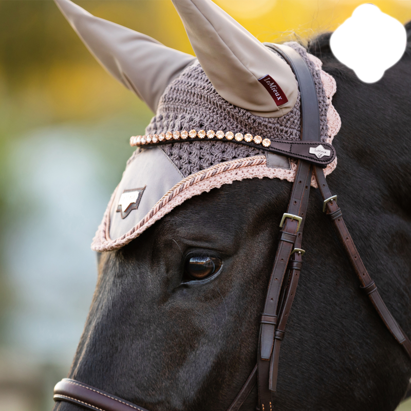 LeMieux Classic Diamante Browband - Brown Leather Rose-4